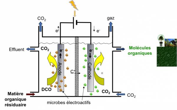 Schéma de principe d'un pilote bioélectrochimique pour la biorafinnerie environnementale